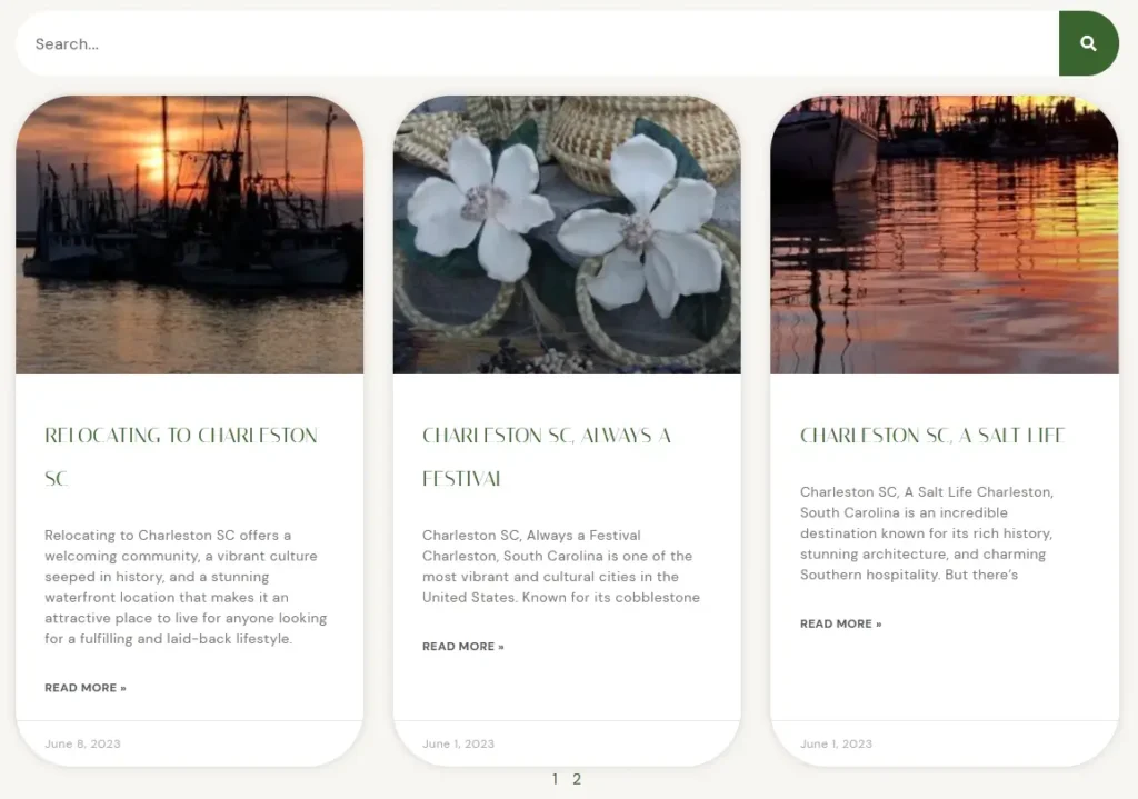 Blog Cards with search and pagination